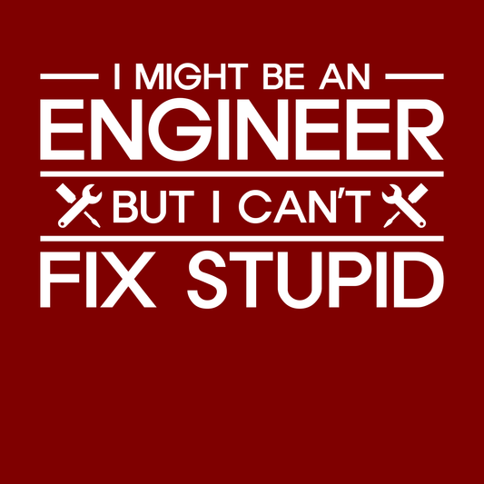 I Might Be An Engineer, But I Can't Fix Stupid