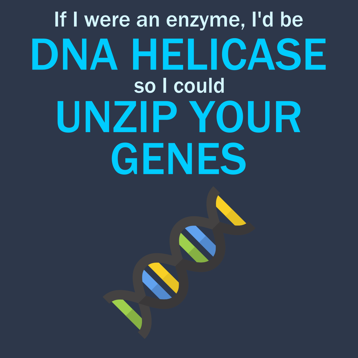 If I Were An Enzyme, I'd be DNA Helicase So I Could Unzip Your Genes - Engineering Outfitters